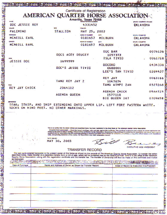 Pistol papers Pistol