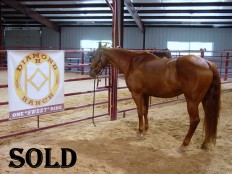 Handsome sold