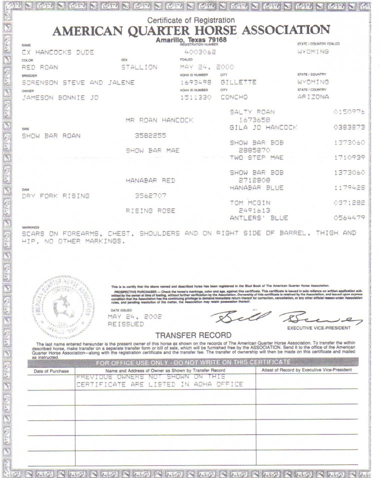 rock star papers 760x956 Rock Star