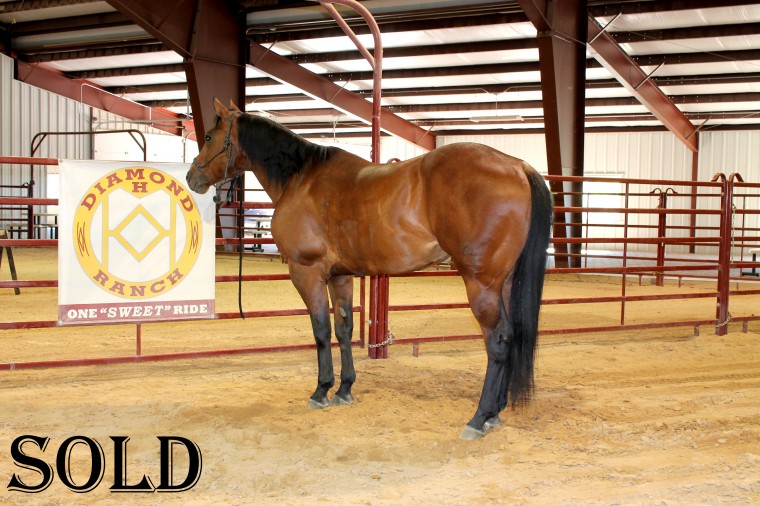 Diamond H Ranch » Kimmer