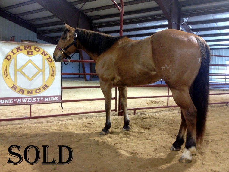 Diamond H Ranch » Drifter